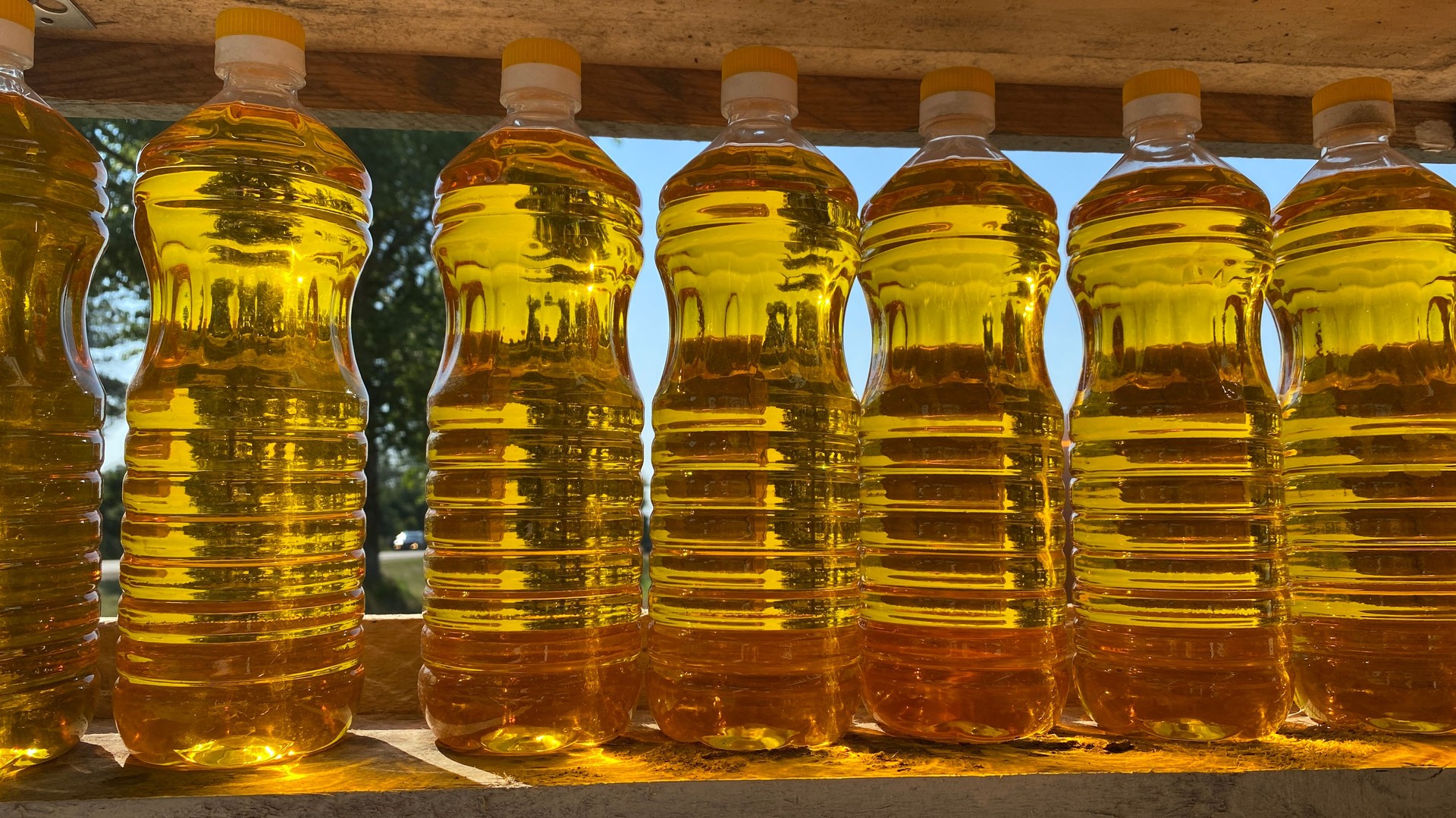 Botellas de aceite vegetal sobre el fondo de un cielo azul