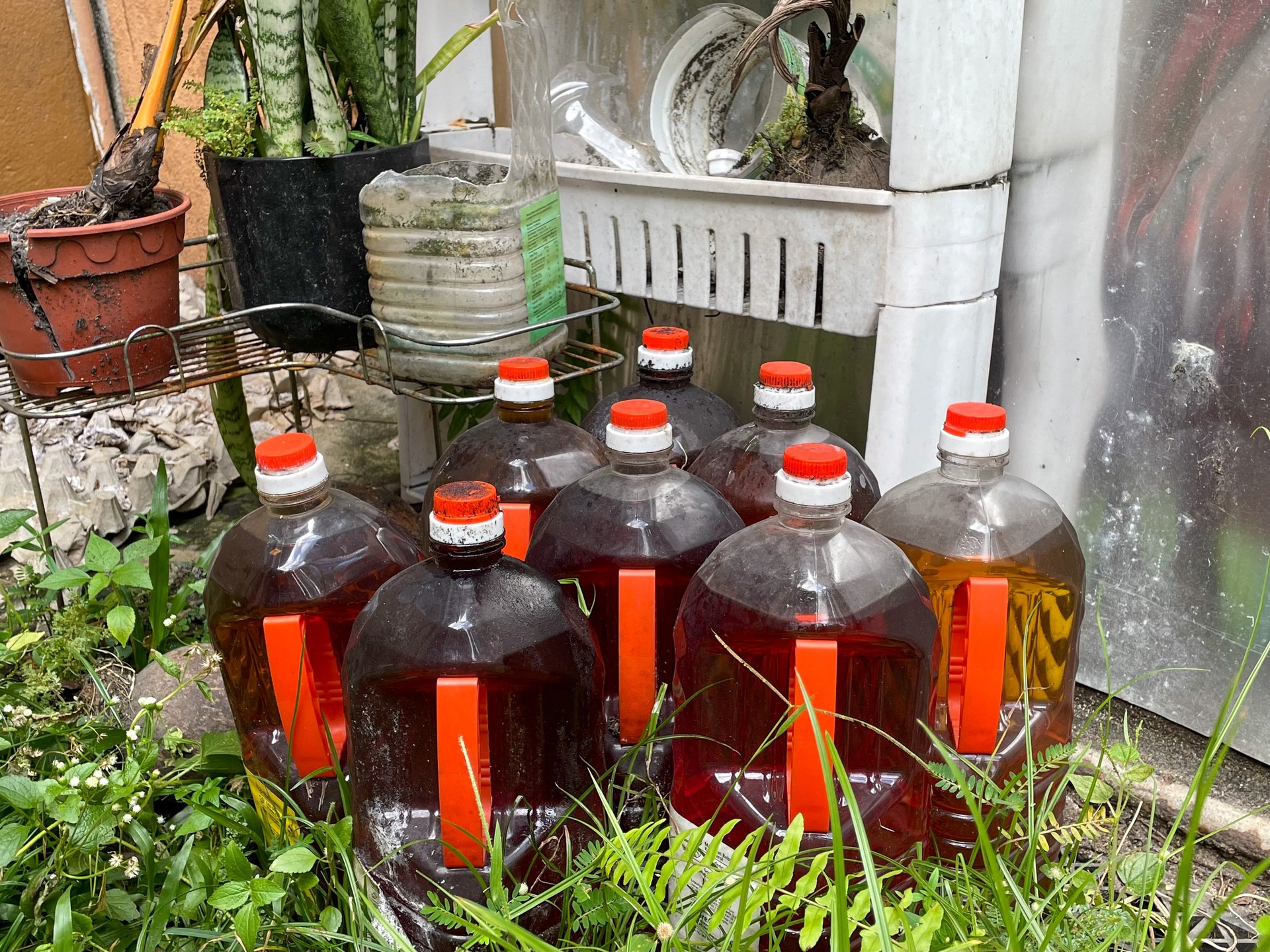 Reciclaje de aceite de cocina usado